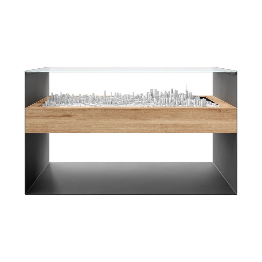 Toronto city model preview