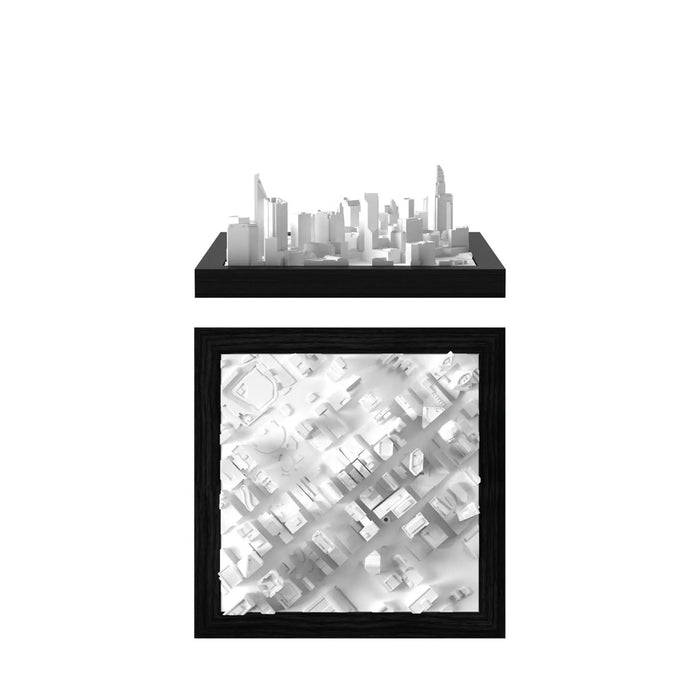 Charlotte CUBE