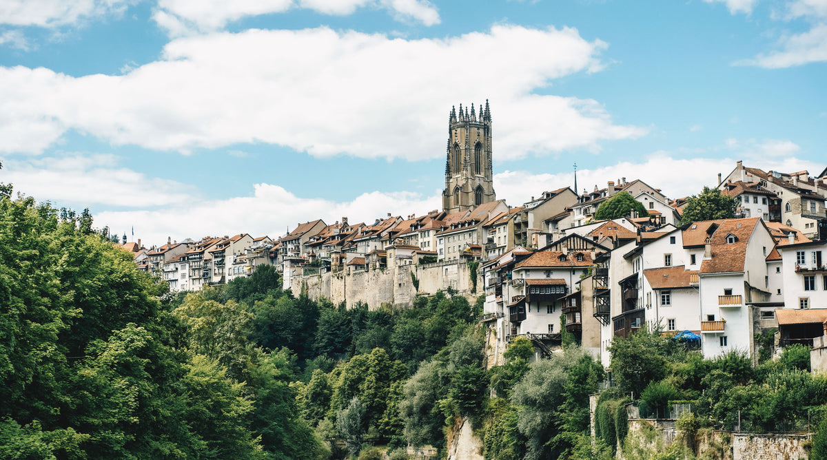 Fribourg City Preview