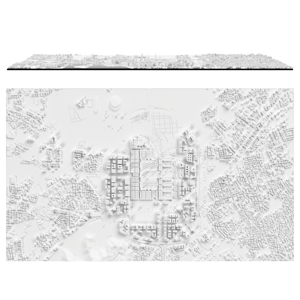 Medina